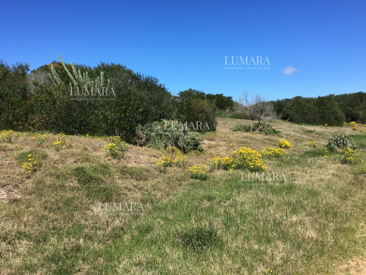 Terreno ID.2986 - Vendo Terreno en la Rambla de Ocean Park