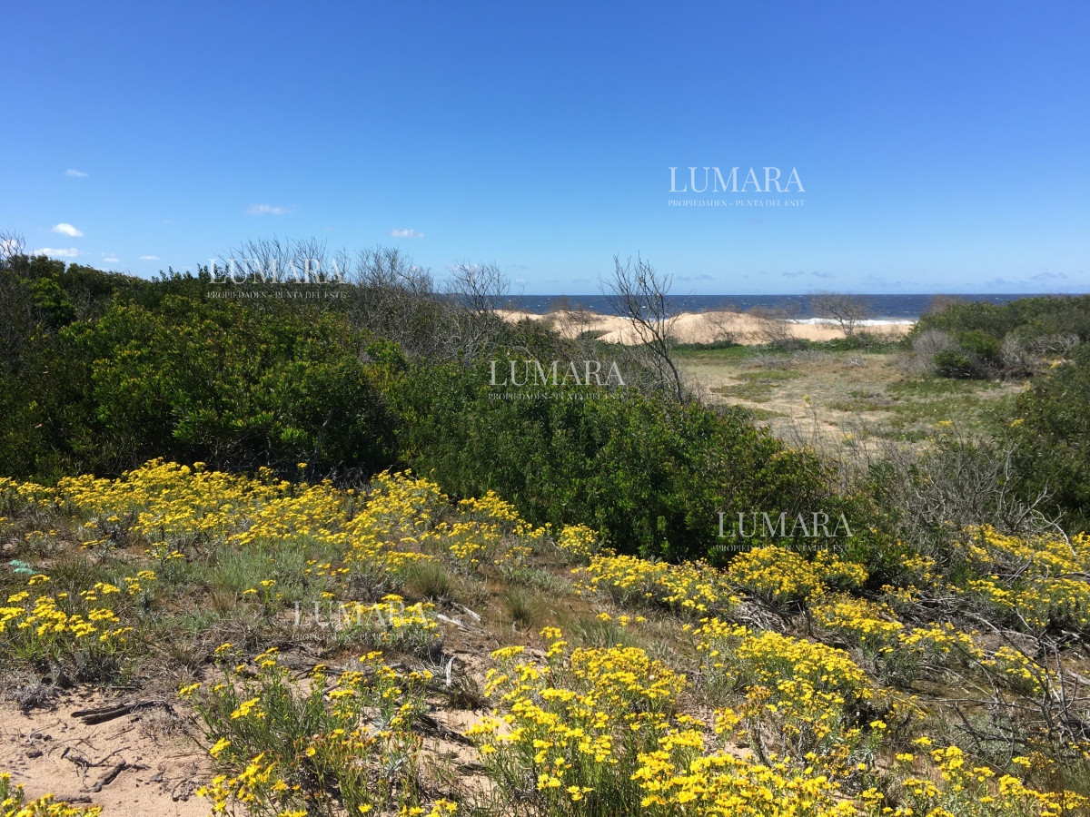 Terreno ID.2986 - Vendo Terreno en la Rambla de Ocean Park