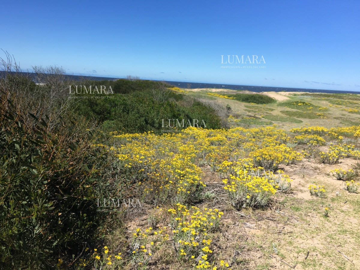 Terreno ID.2986 - Vendo Terreno en la Rambla de Ocean Park