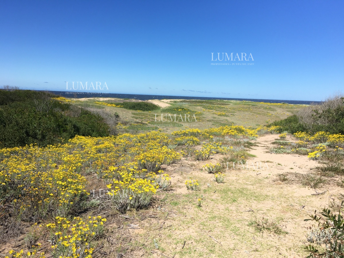 Terreno ID.2986 - Vendo Terreno en la Rambla de Ocean Park