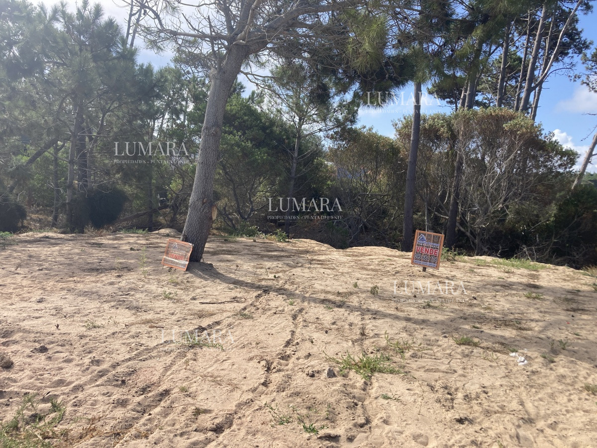 Terreno ID.2986 - Vendo Terreno en la Rambla de Ocean Park