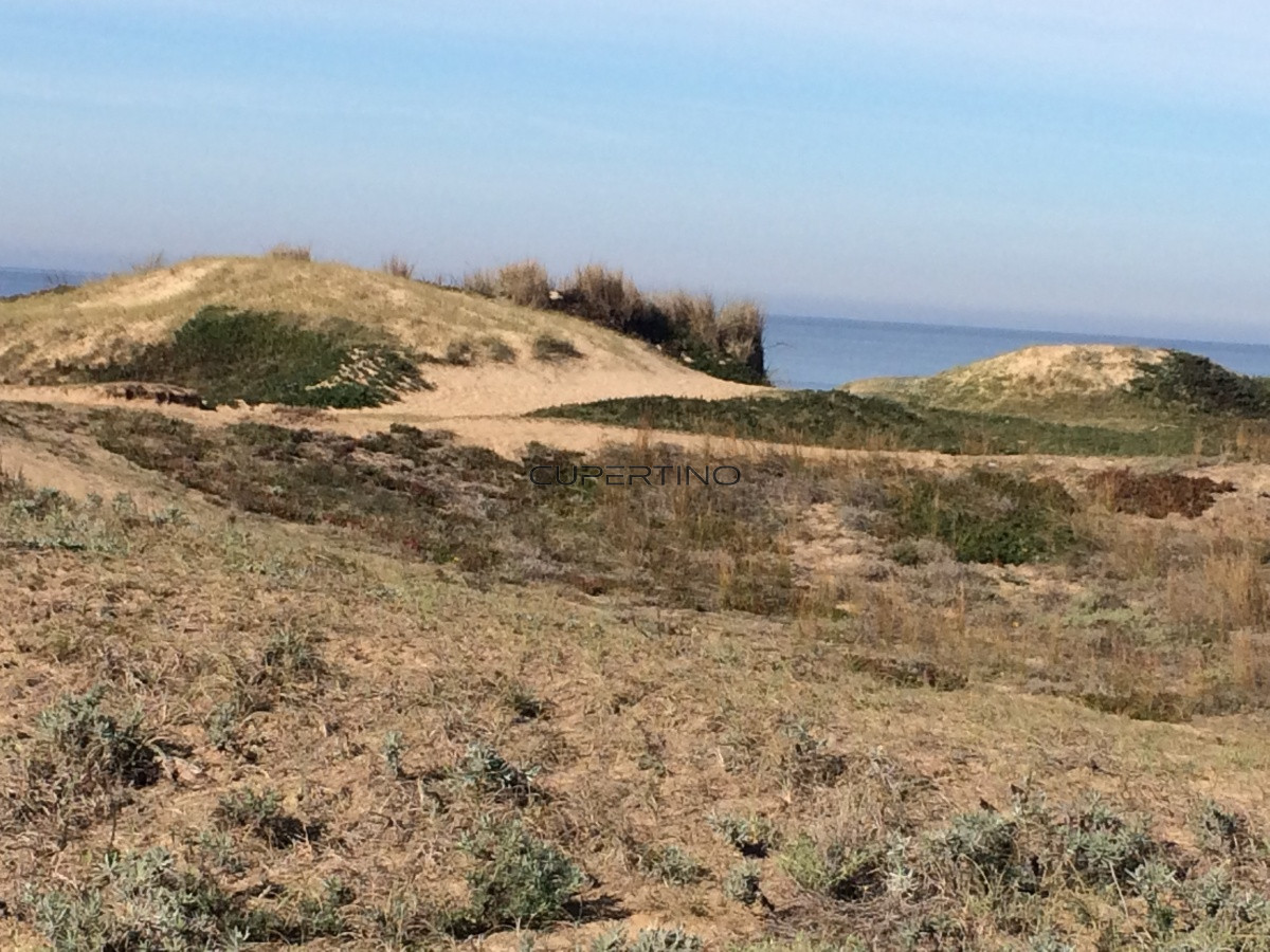 Terreno en Punta Ballena, Ocean Park — foto 7