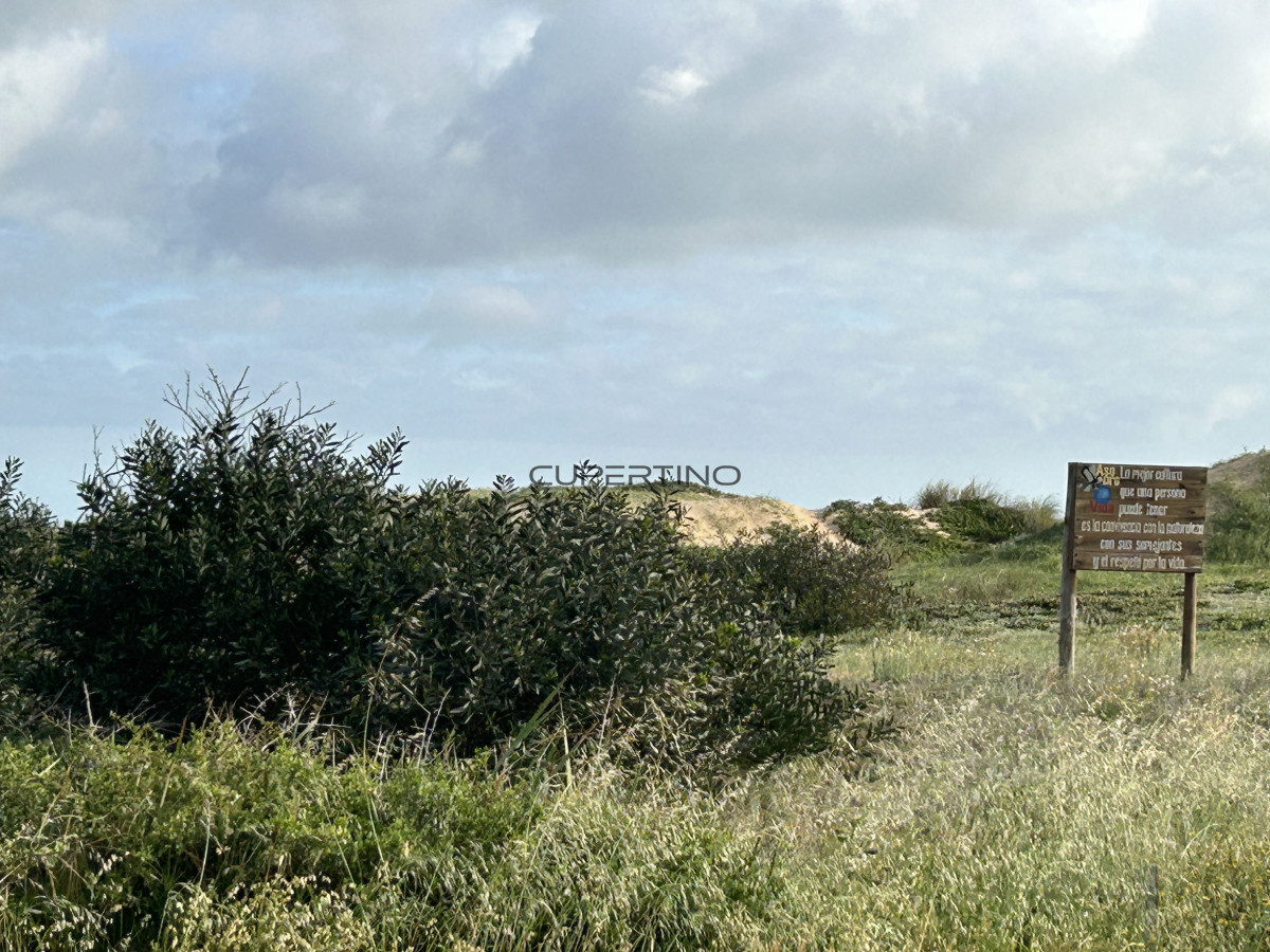 Terreno en Punta Ballena, Ocean Park — foto 8
