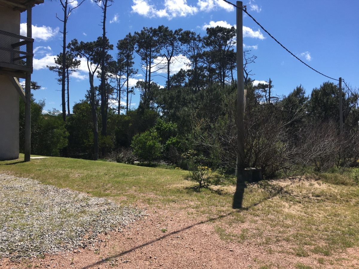 Terreno en Punta Ballena, Ocean Park — foto 8