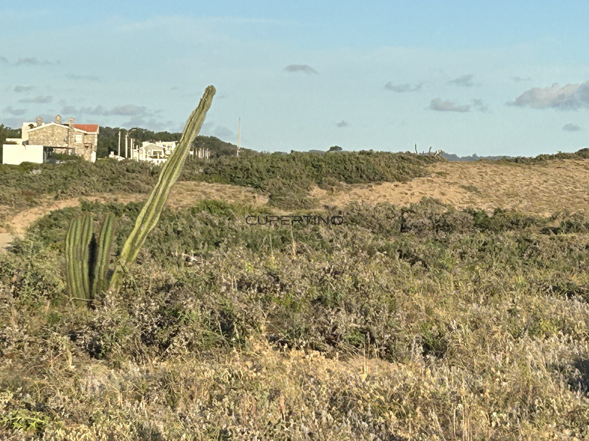 Terreno en Punta Ballena, Sauce de Portezuelo — foto 17