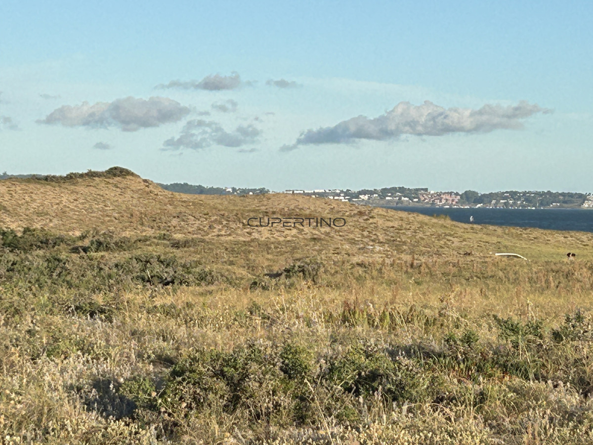 Terreno en Punta Ballena, Sauce de Portezuelo — foto 18