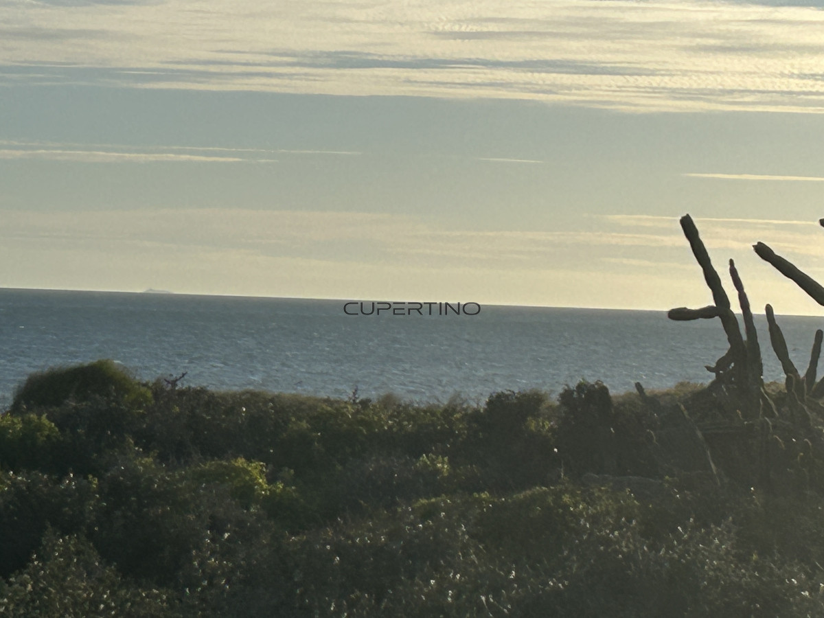 Terreno en Punta Ballena, Sauce de Portezuelo — foto 7