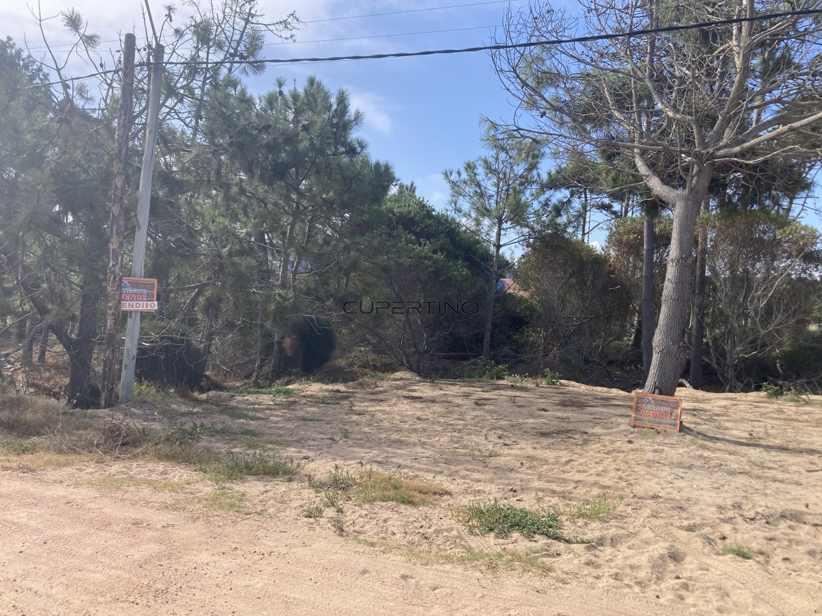 Terreno en Punta Ballena, Ocean Park — foto 15