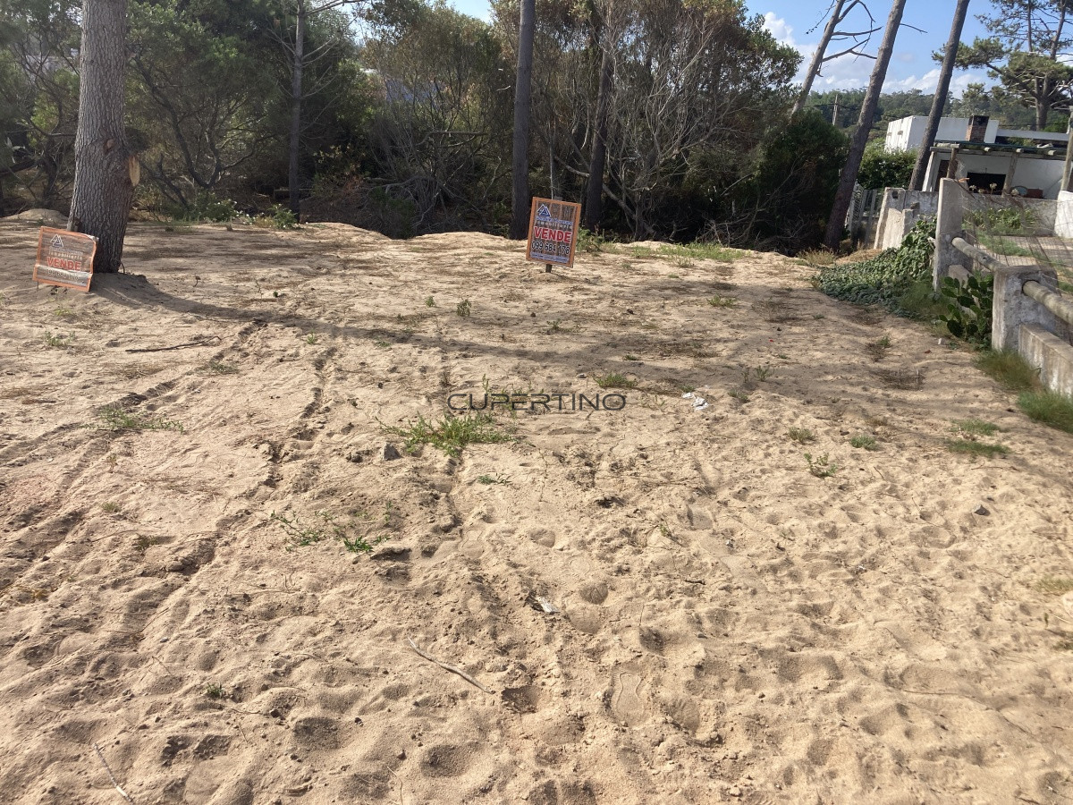 Terreno en Punta Ballena, Ocean Park — foto 1