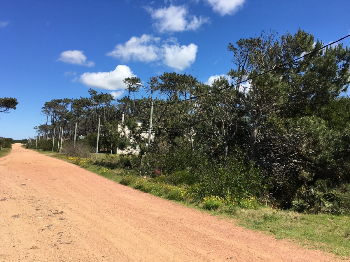Terreno en Punta Ballena, Ocean Park — foto 6