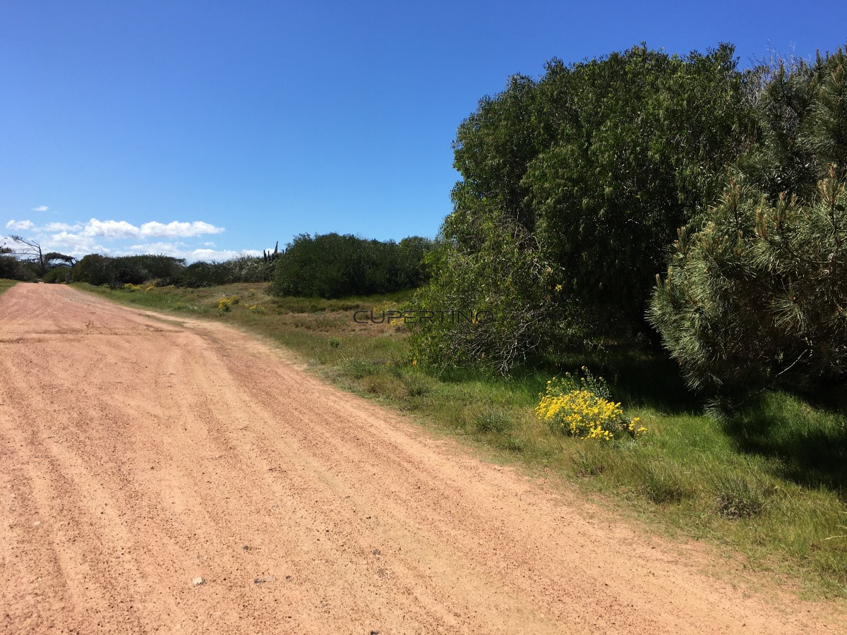 Terreno en Punta Ballena, Ocean Park — foto 9