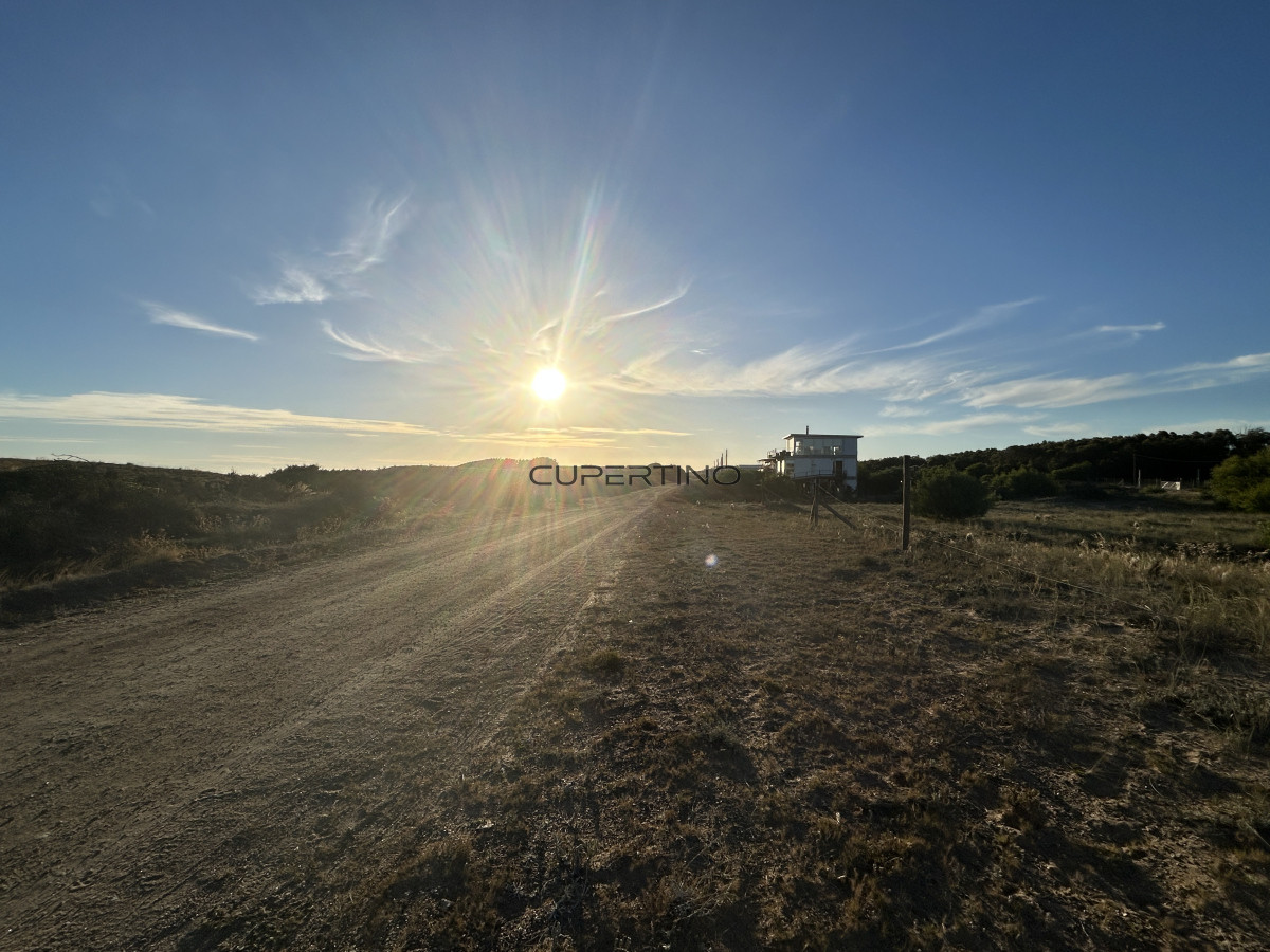 Terreno en Punta Ballena, Sauce de Portezuelo — foto 4
