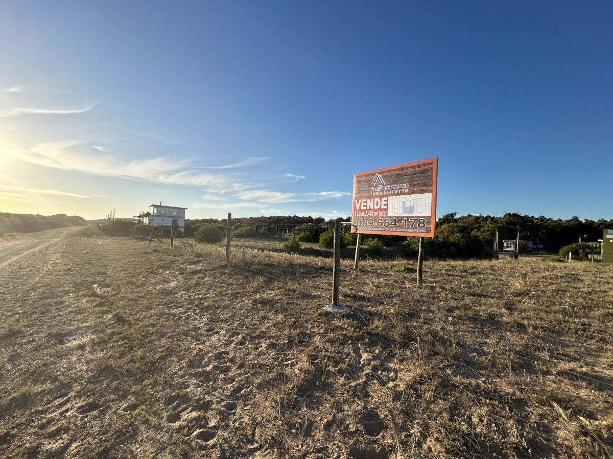 Terreno en Punta Ballena, Sauce de Portezuelo — foto 3