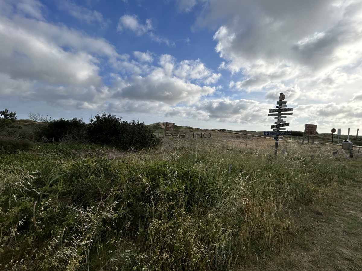 Terreno en Punta Ballena, Ocean Park — foto 4