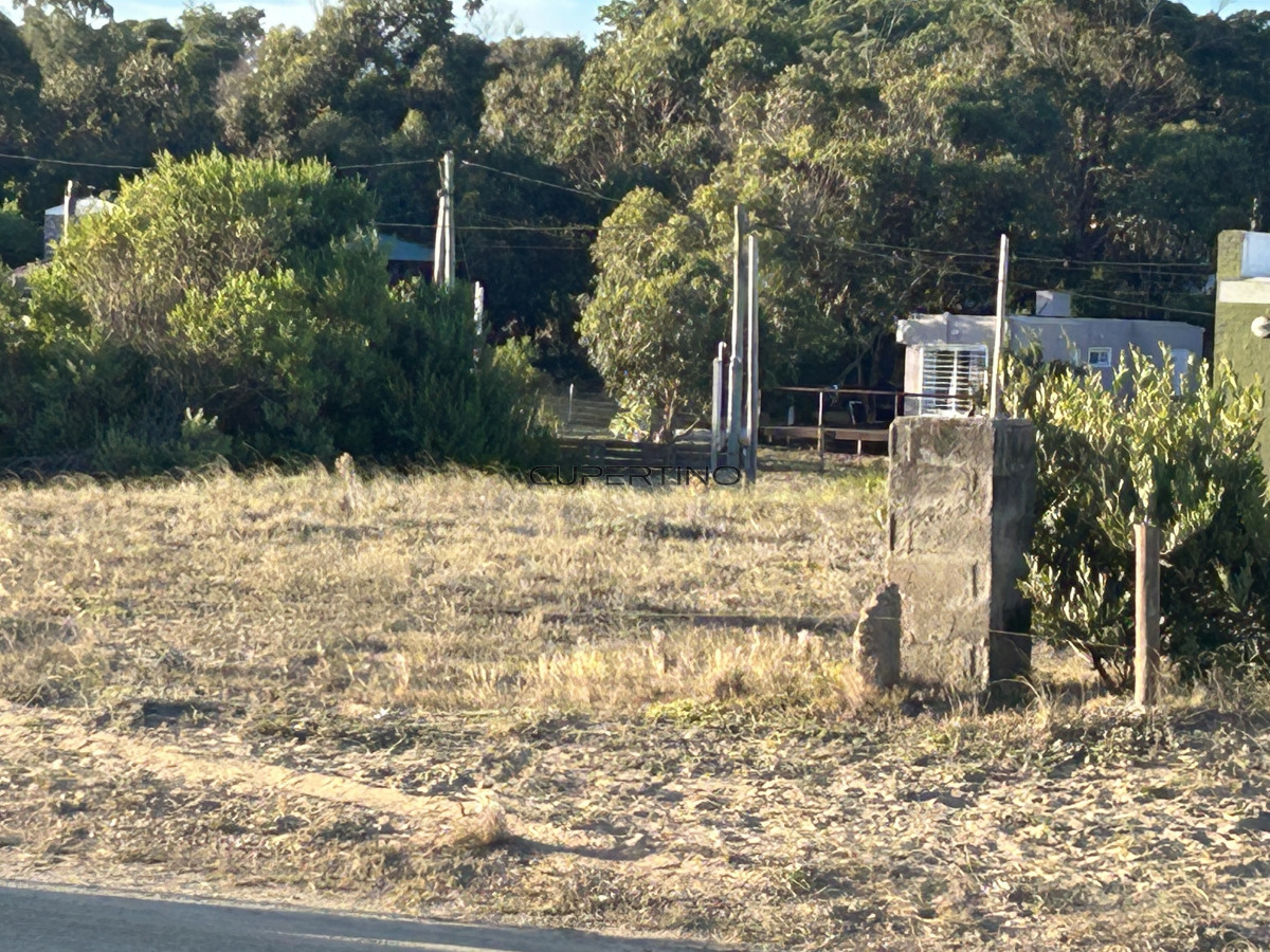 Terreno en Punta Ballena, Sauce de Portezuelo — foto 12