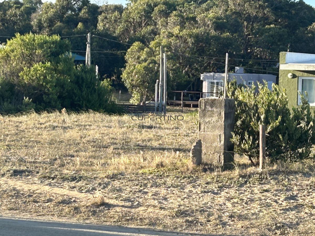 Terreno en Punta Ballena, Sauce de Portezuelo — foto 11