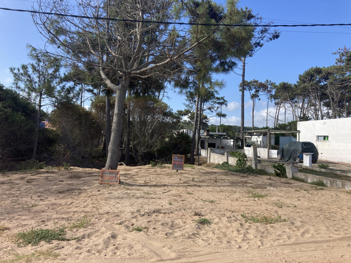 Terreno en Punta Ballena, Ocean Park — foto 14