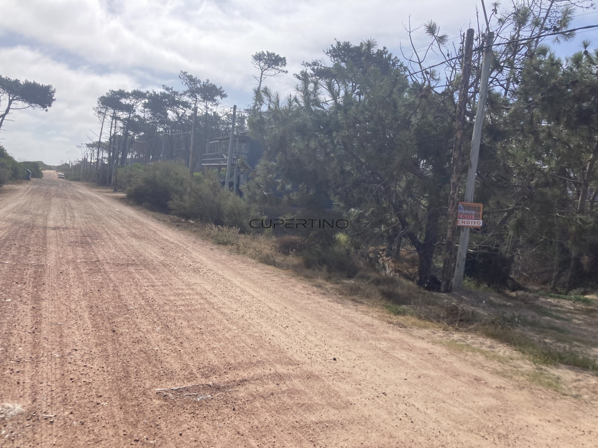 Terreno en Punta Ballena, Ocean Park — foto 16