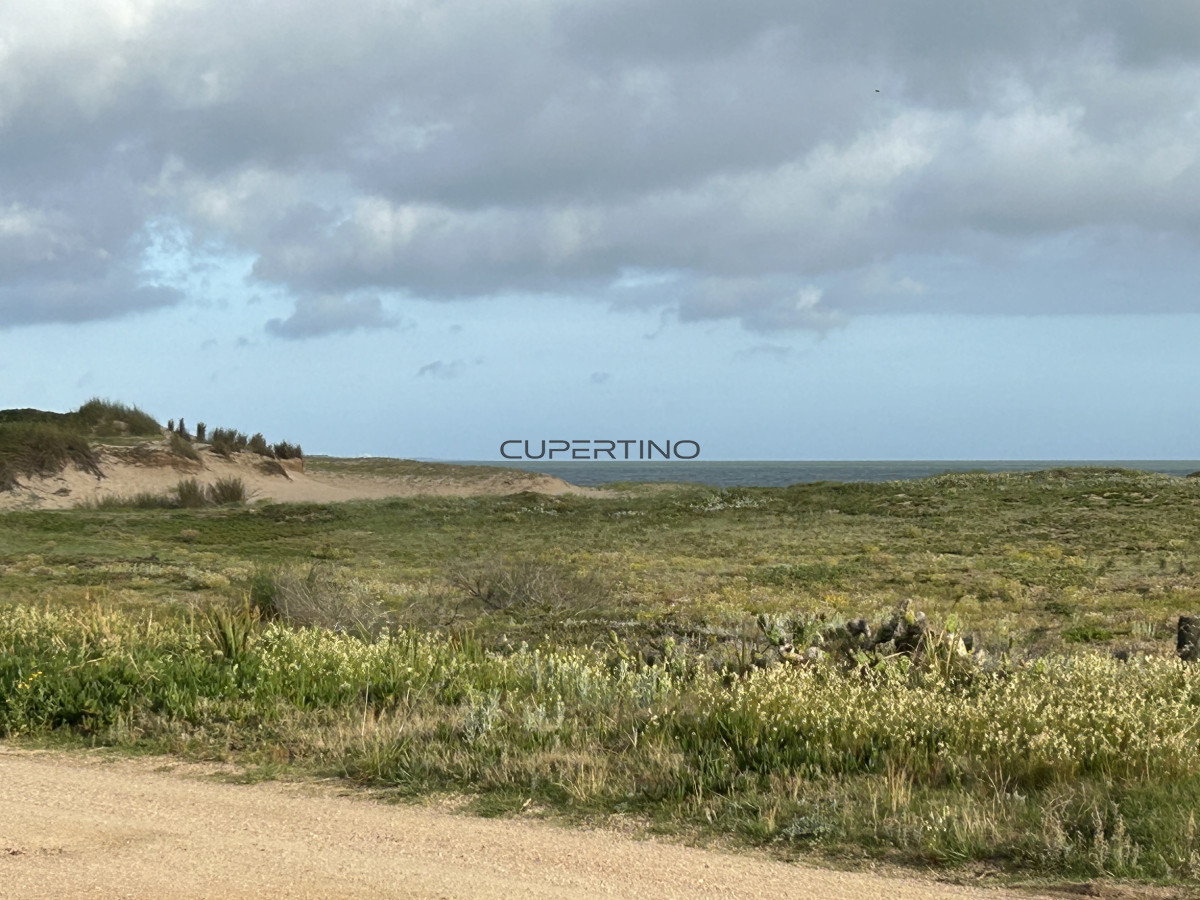 Terreno en Punta Ballena, Ocean Park — foto 9