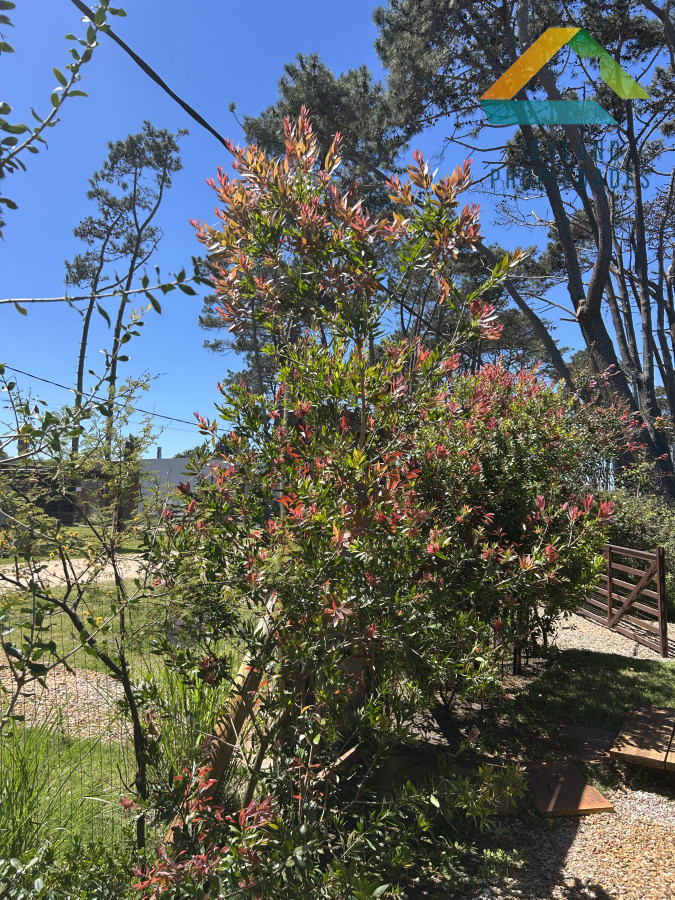 Casa ID.146 - Vendo casa a estrenar en Ocean Park