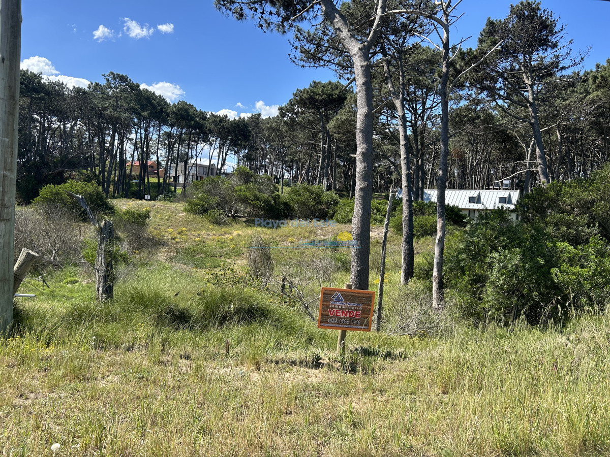Ocean Park - GoPunta - Portal Inmobiliario de Punta del Este - Maldonado