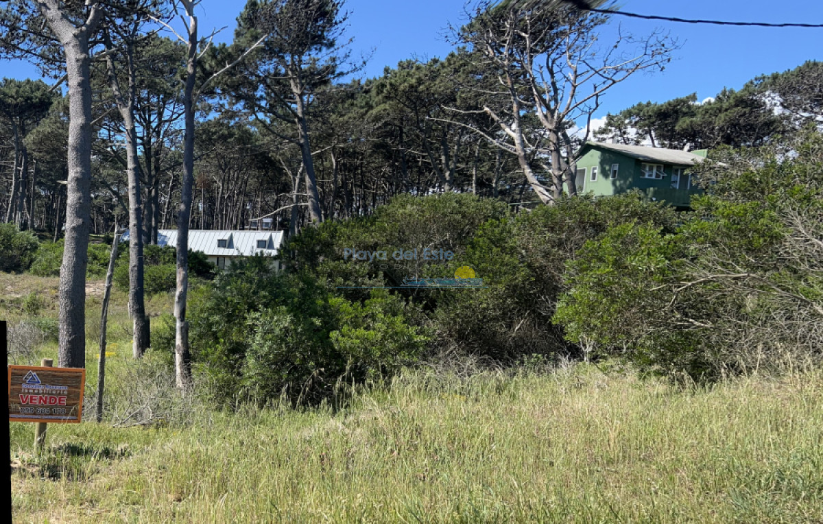 Ocean Park - GoPunta - Portal Inmobiliario de Punta del Este - Maldonado