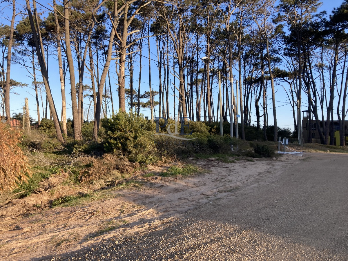 Terreno en Ocean Park, Punta del Este