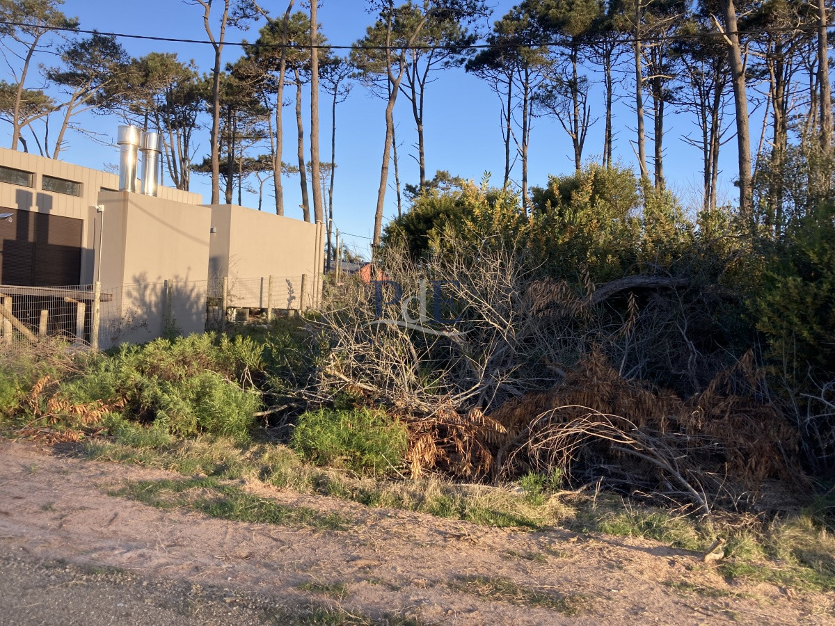 Terreno en Ocean Park, Punta del Este - Imagen 13