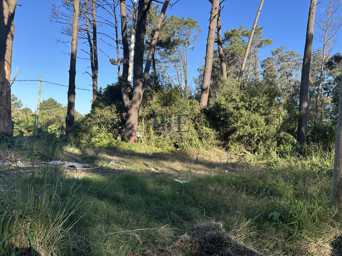 Terreno en Punta Ballena, Ocean Park - Imagen 1