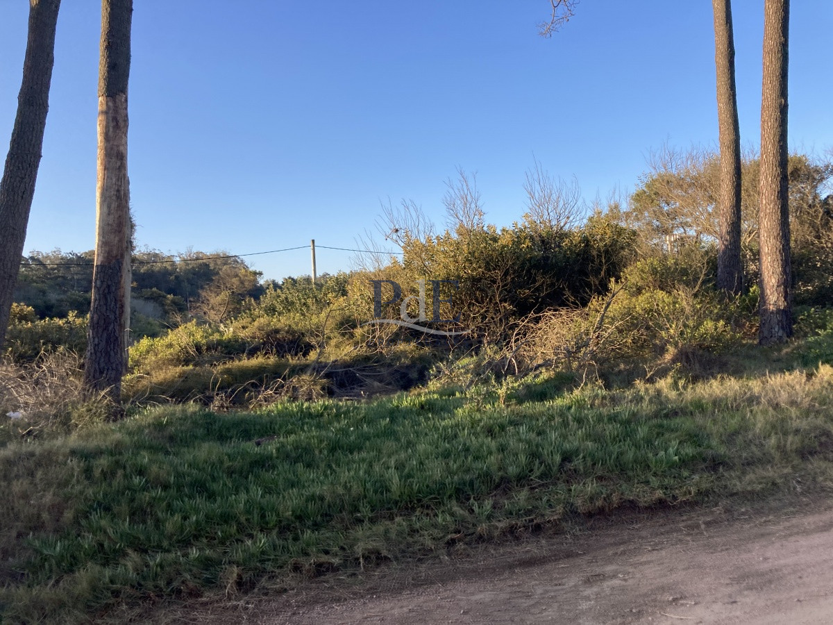 Terreno en Ocean Park, Punta del Este - Imagen 21