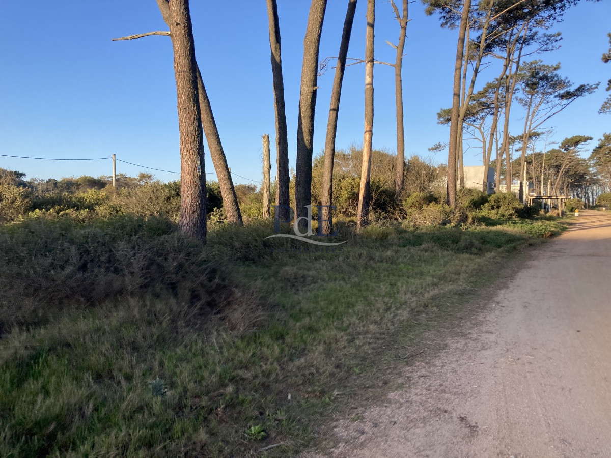 Terreno en Ocean Park, Punta del Este - Imagen 18