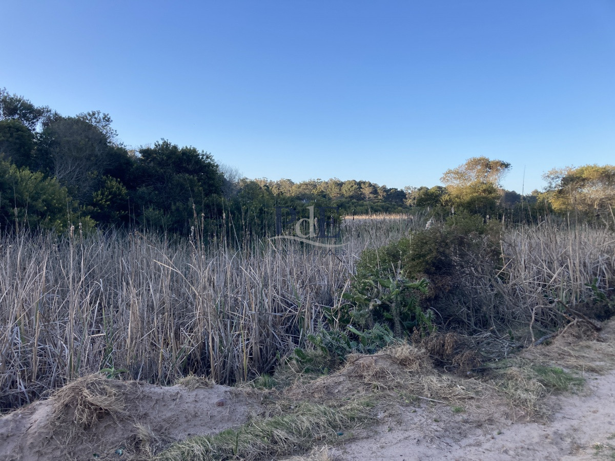 Terreno en Ocean Park, Punta del Este - Imagen 9