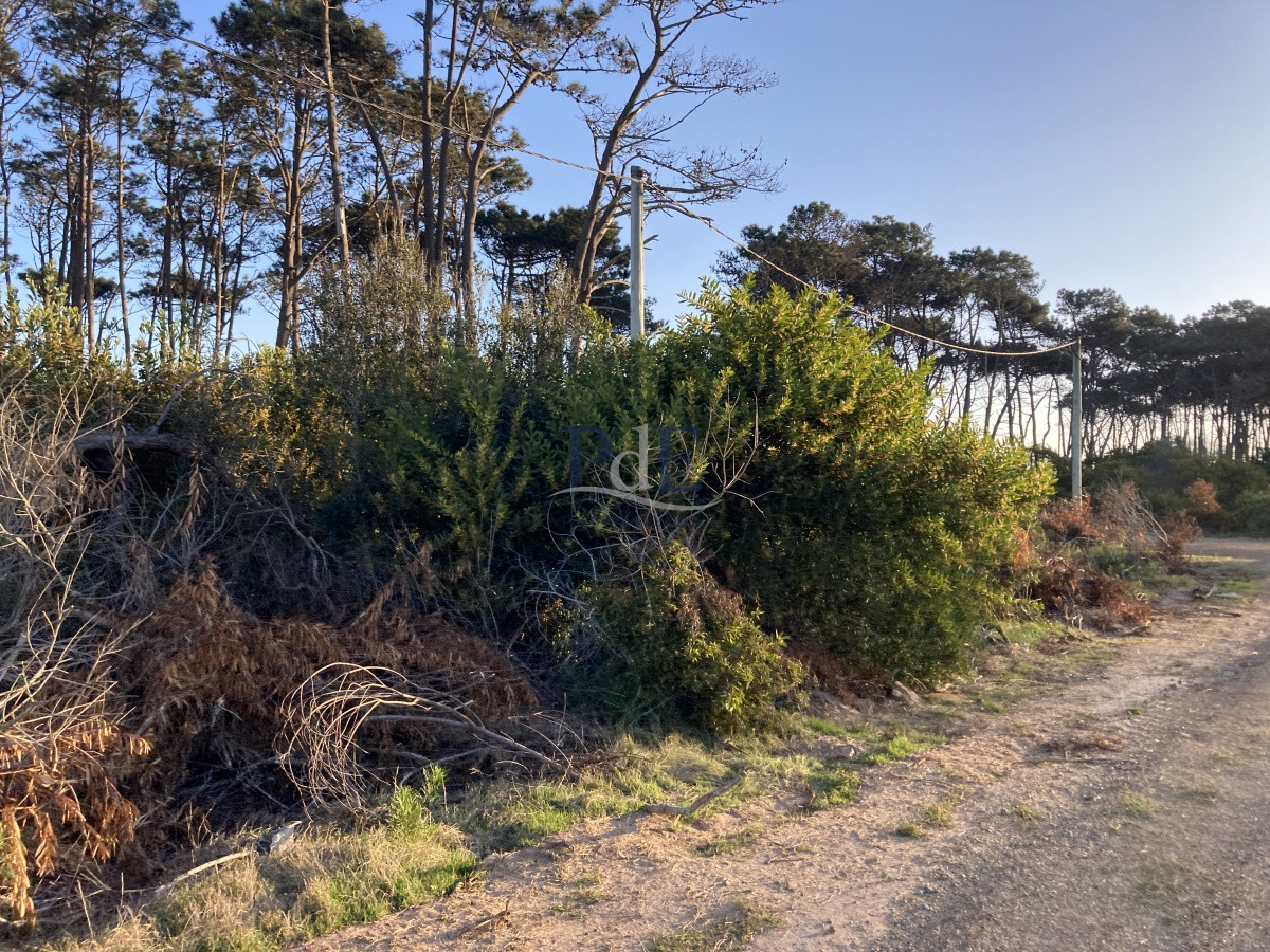 Terreno en Ocean Park, Punta del Este - Imagen 15