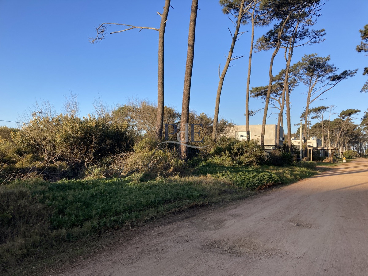 Terreno en Ocean Park, Punta del Este - Imagen 19