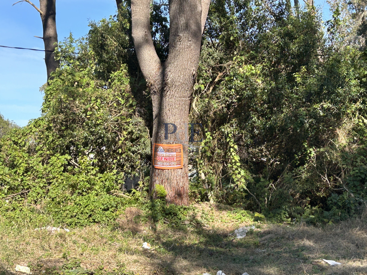 Terreno en Punta Ballena, Ocean Park
