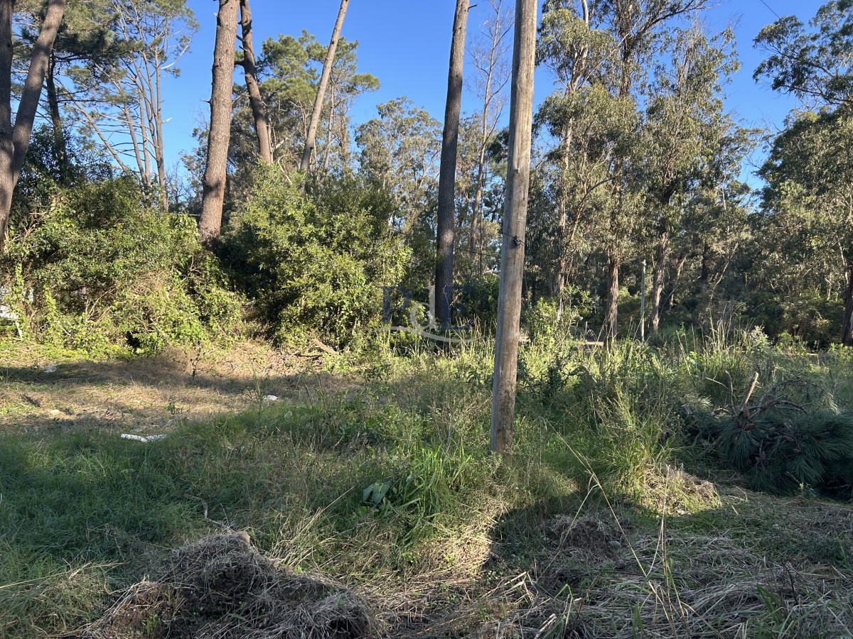 Terreno en Punta Ballena, Ocean Park - Imagen 8