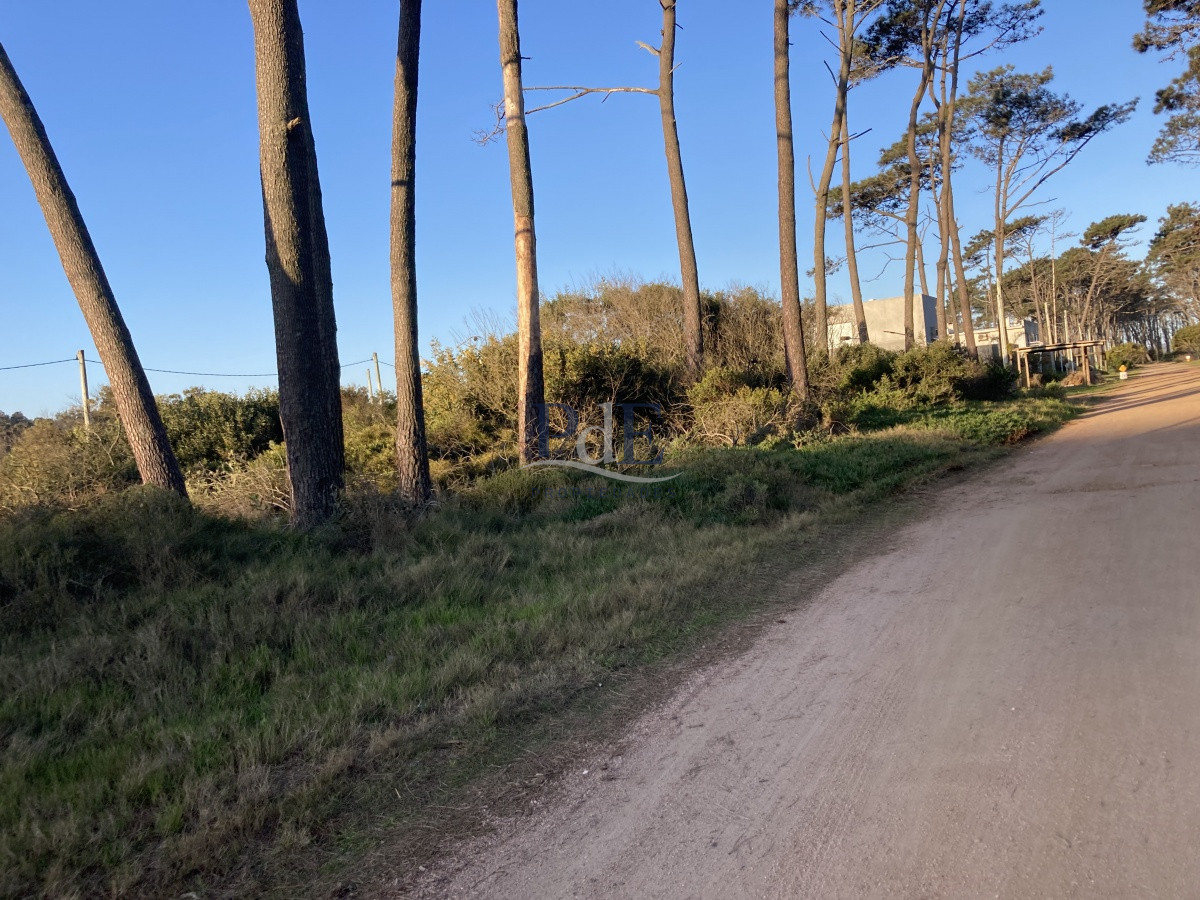 Terreno en Ocean Park, Punta del Este - Imagen 23
