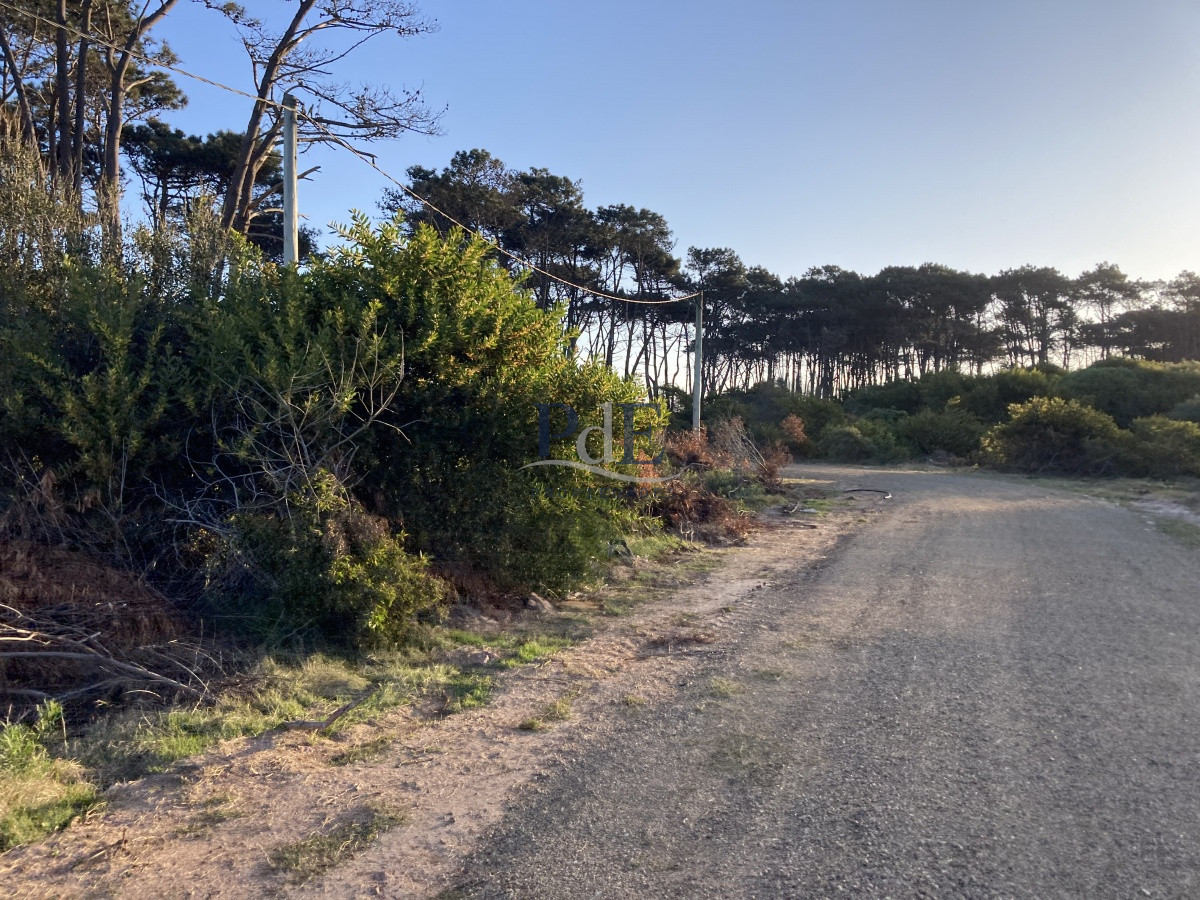 Terreno en Ocean Park, Punta del Este - Imagen 14