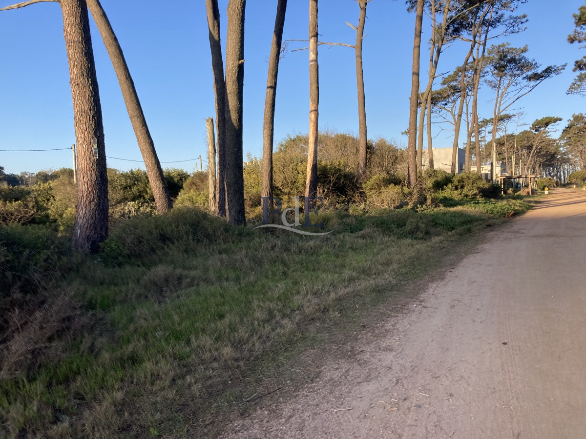 Terreno en Ocean Park, Punta del Este - Imagen 17