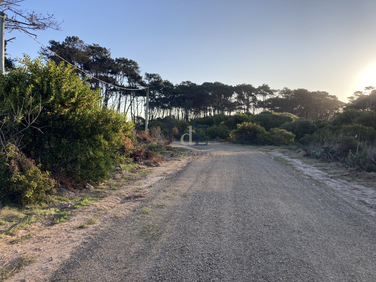 Terreno en Ocean Park, Punta del Este - Imagen 12