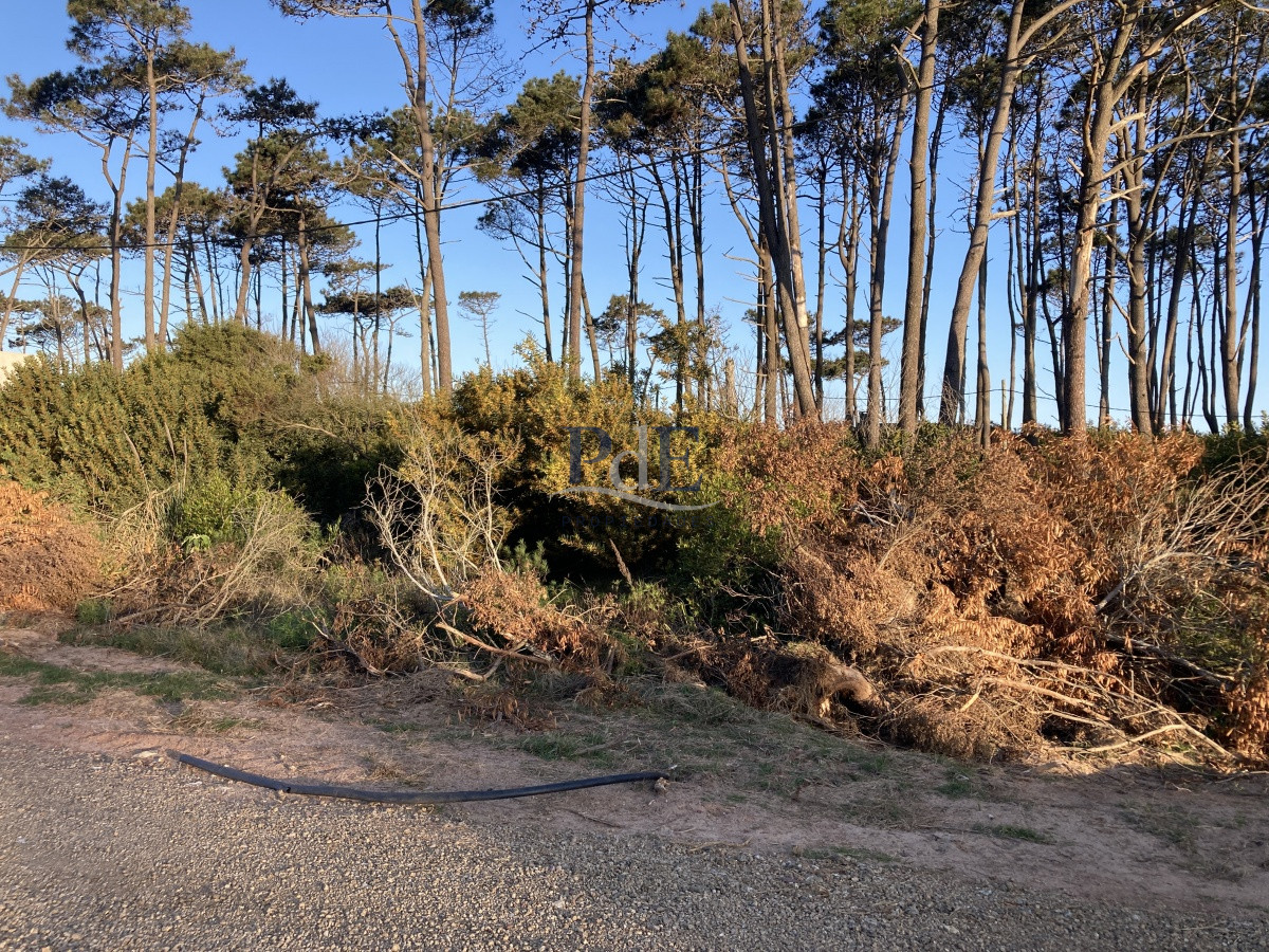 Terreno en Ocean Park, Punta del Este - Imagen 8