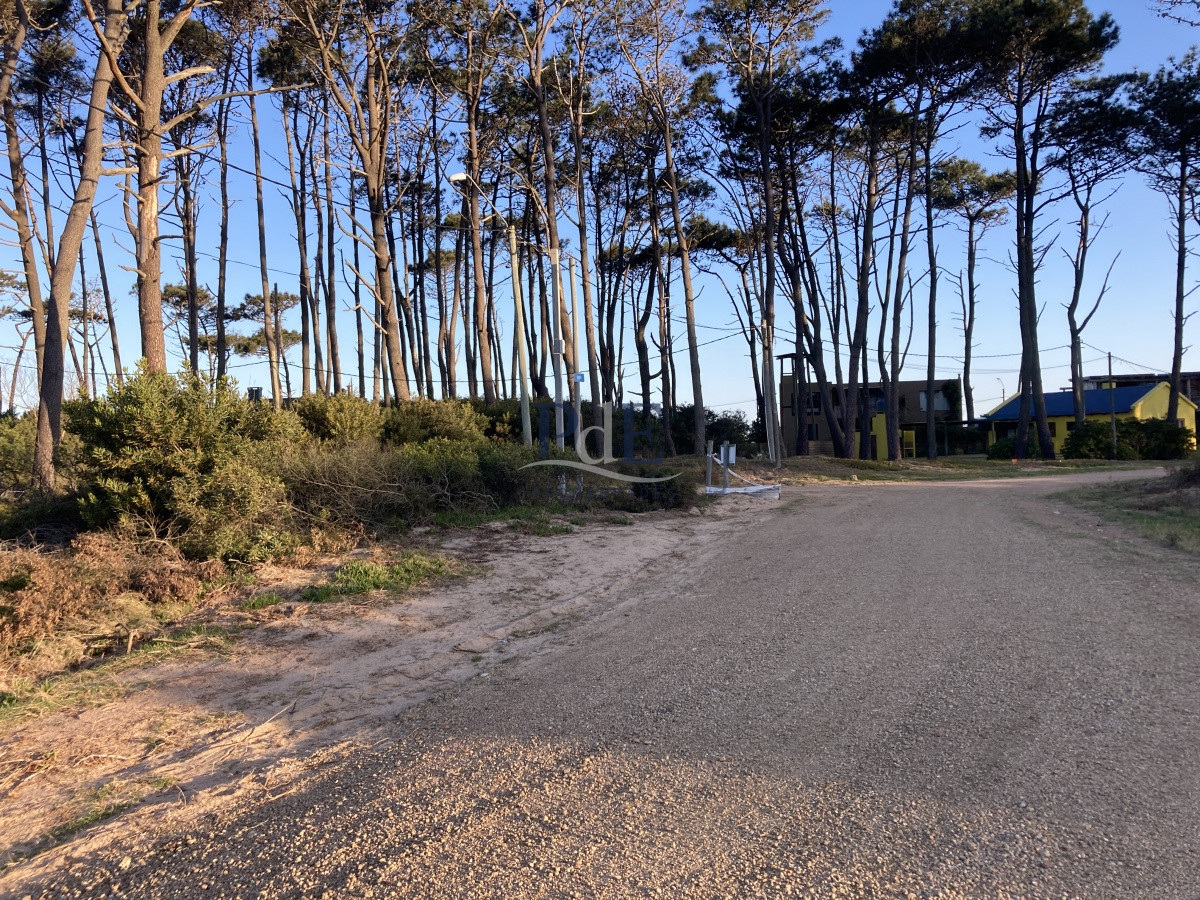 Terreno en Ocean Park, Punta del Este - Imagen 7