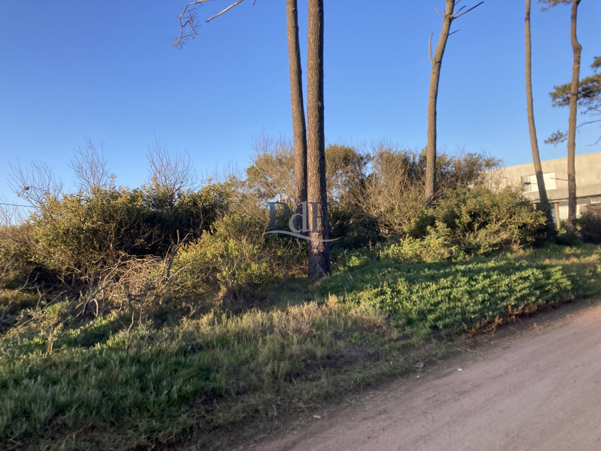 Terreno en Ocean Park, Punta del Este - Imagen 22
