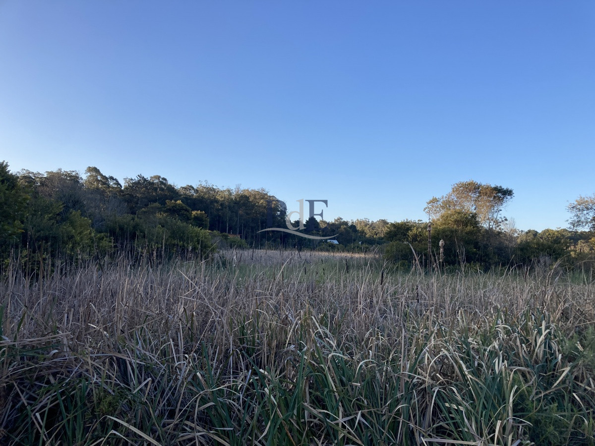 Terreno en Ocean Park, Punta del Este - Imagen 11