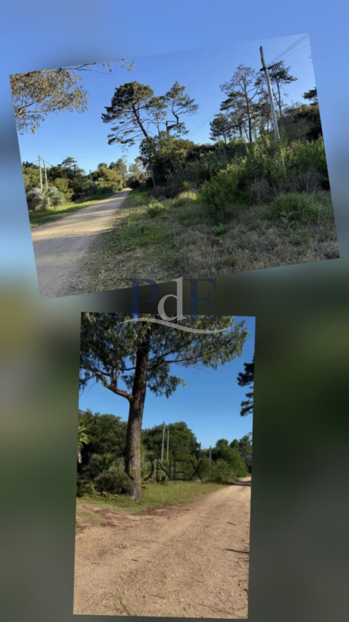 Vendemos espectacular terreno de 1050 m2 