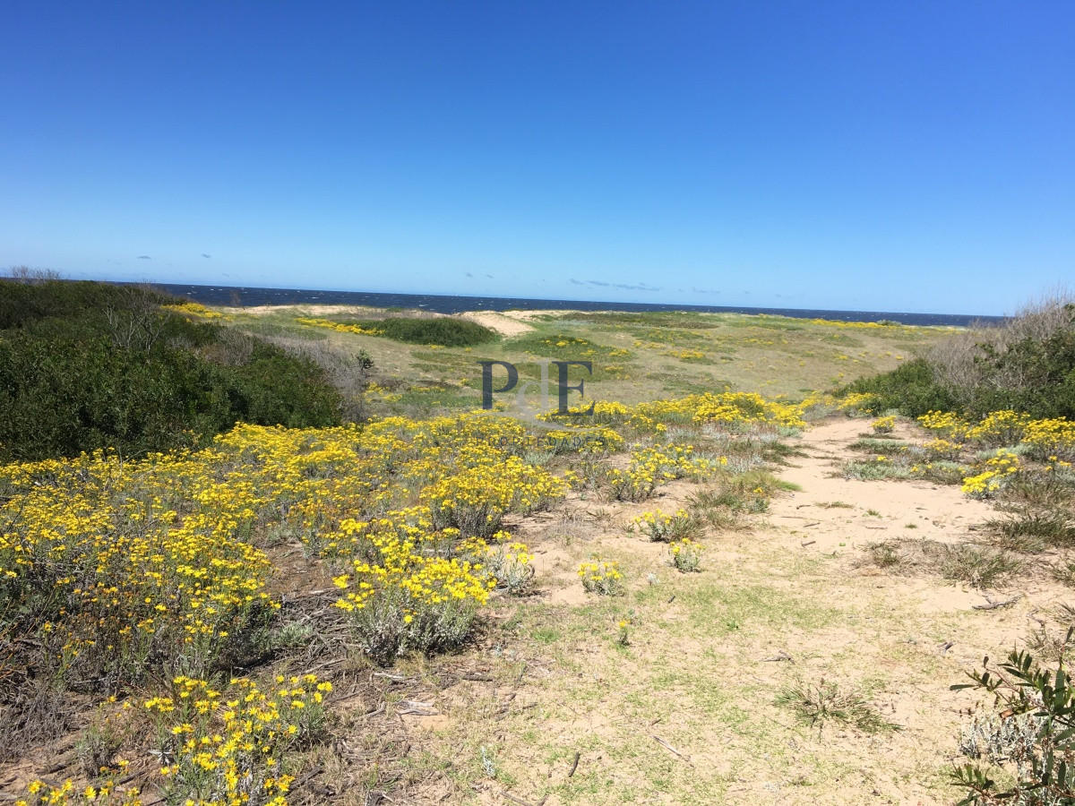 Vendo Terreno en la Rambla de Ocean Park - Imagen 1