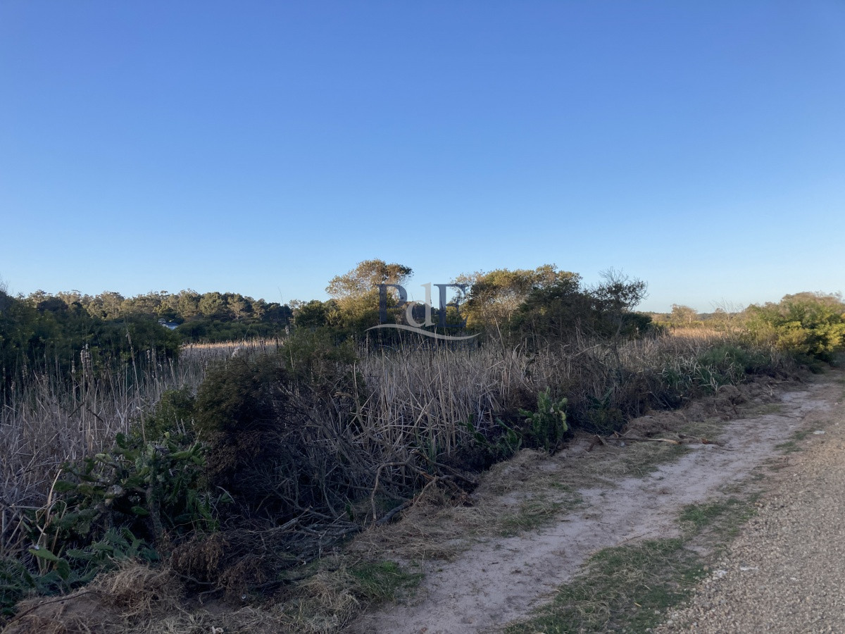 Terreno en Ocean Park, Punta del Este - Imagen 10