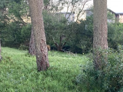 Vendo terreno en la mejor zona de Ocean Park