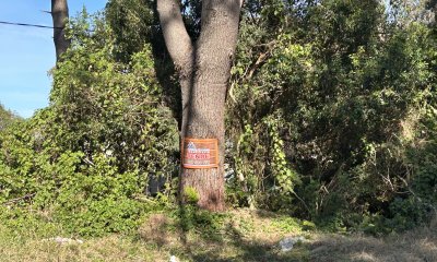 Terreno en Punta Ballena, Ocean Park