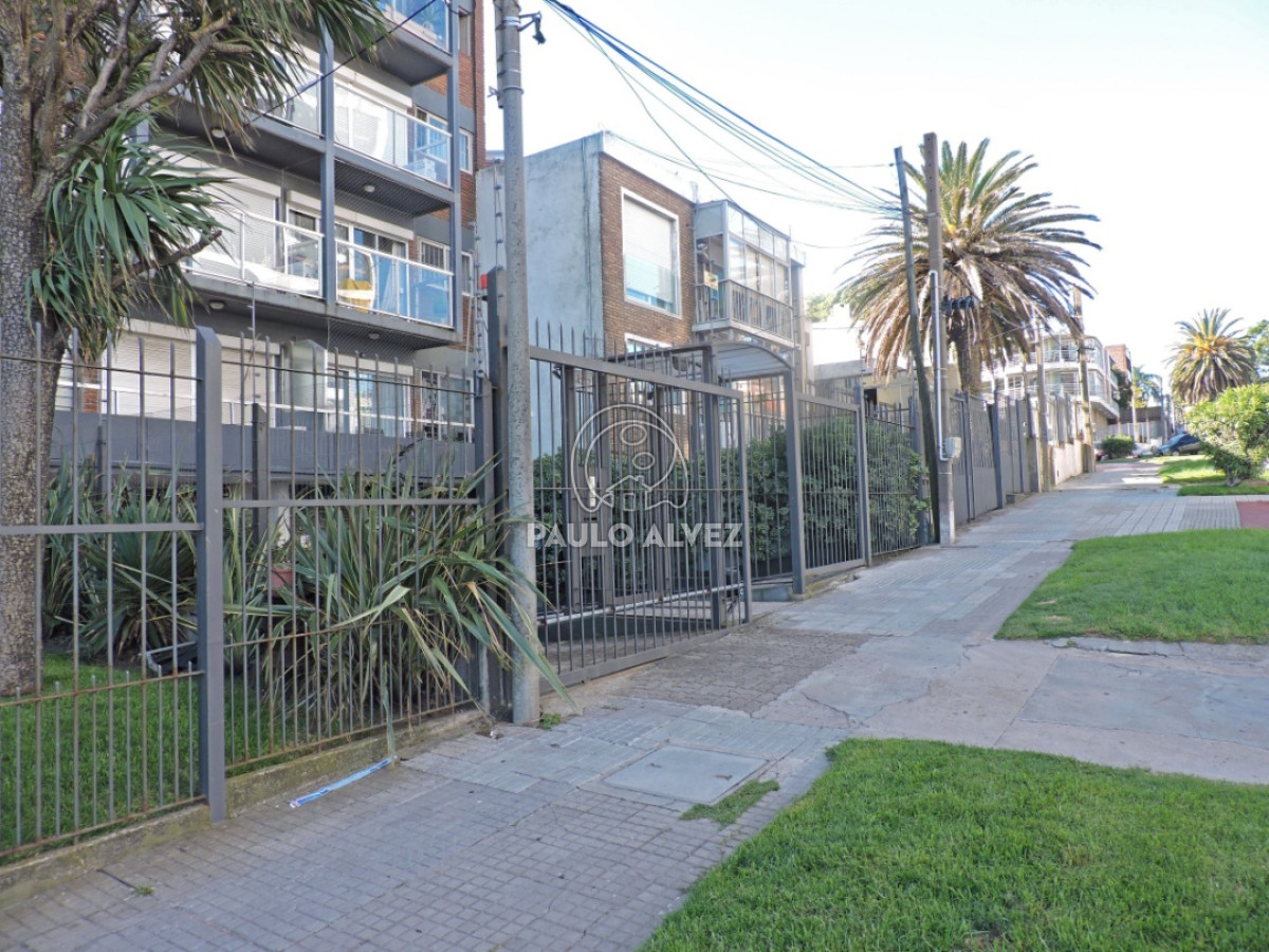 Buceo - GoPunta - Portal Inmobiliario de Punta del Este - Maldonado